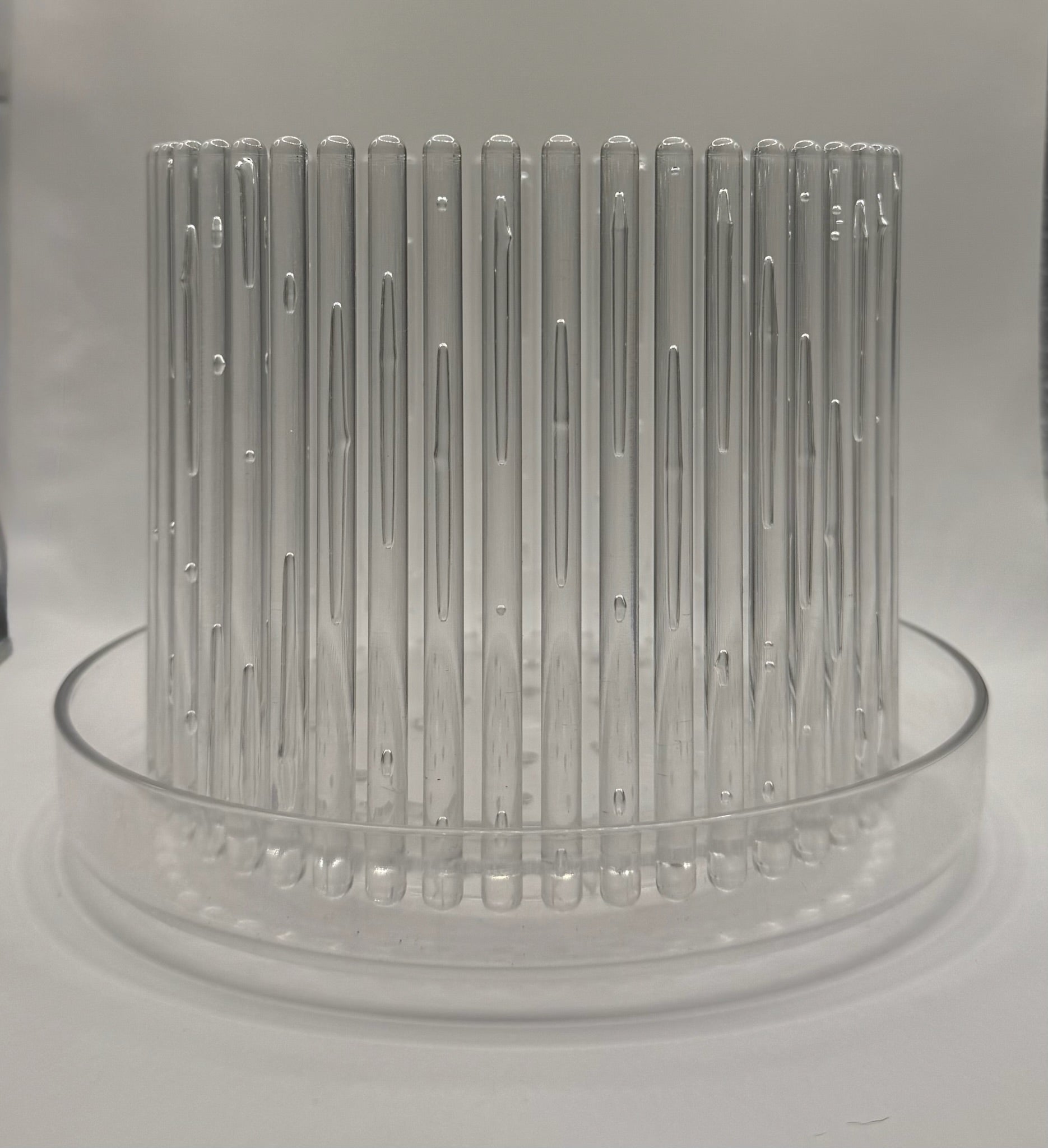 Macetero para Orquideas Transparente L