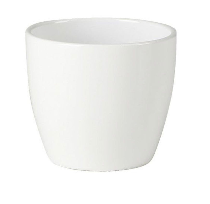 Portamaecetero para orquídeas