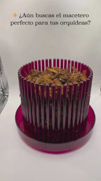 Macetero para Orquídeas M Morado Semitransparente con Drenaje | Orchitop
